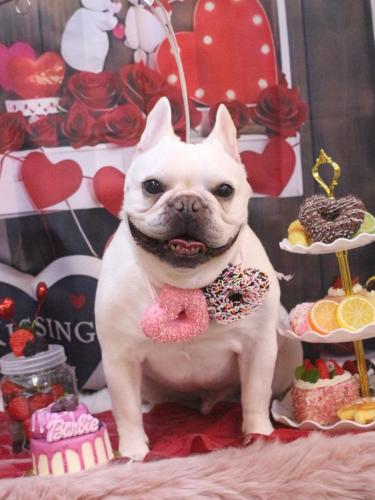 20250227まろんくん